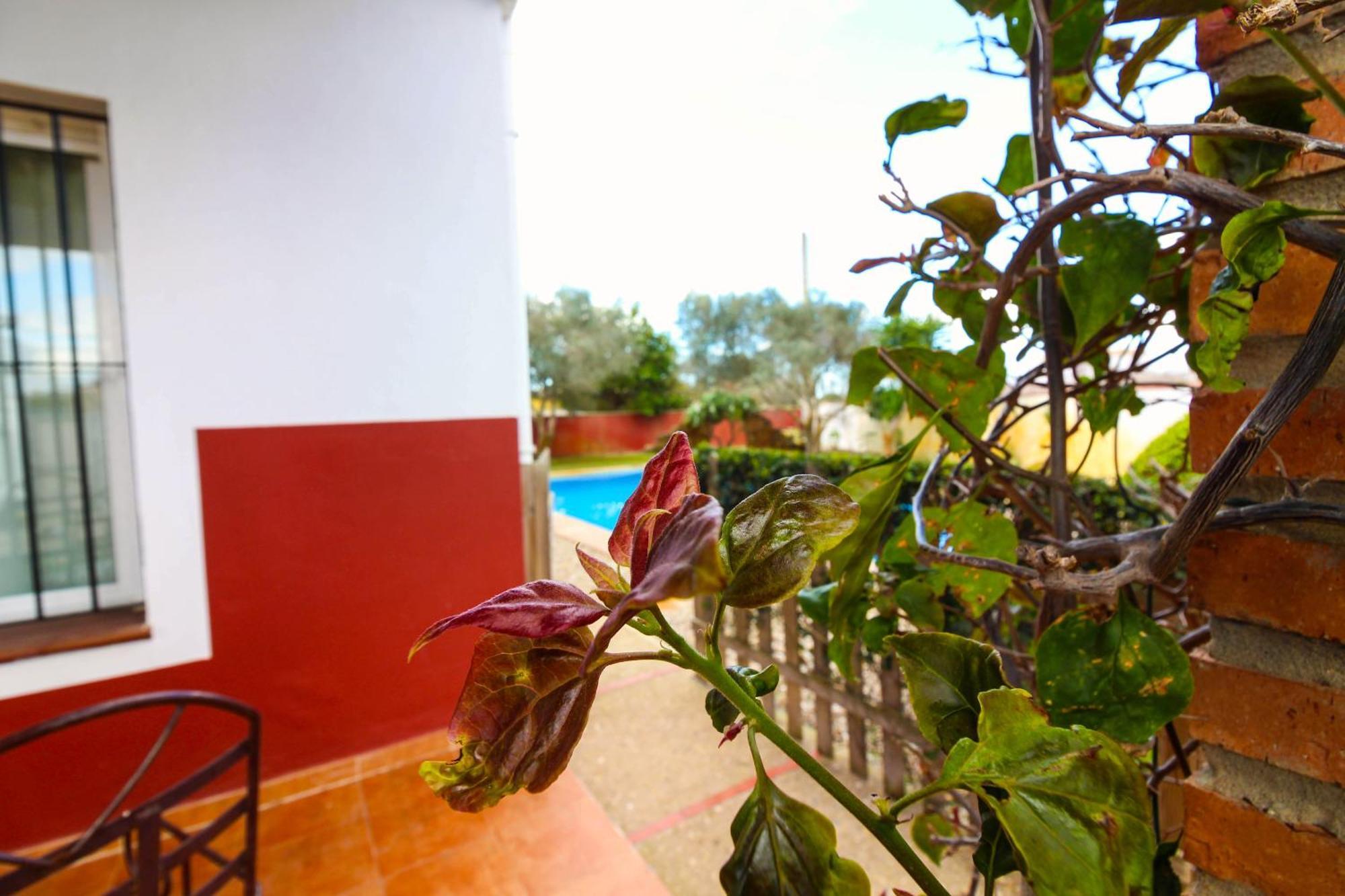 Los Candiles Conil De La Frontera Εξωτερικό φωτογραφία