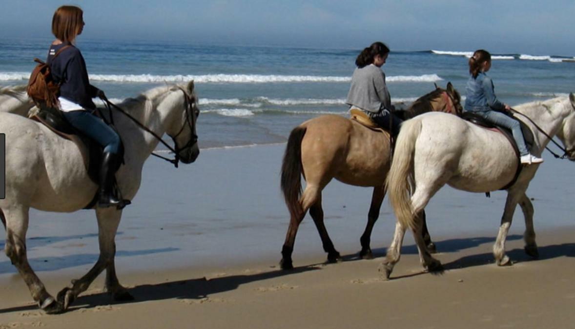 Los Candiles Conil De La Frontera Εξωτερικό φωτογραφία